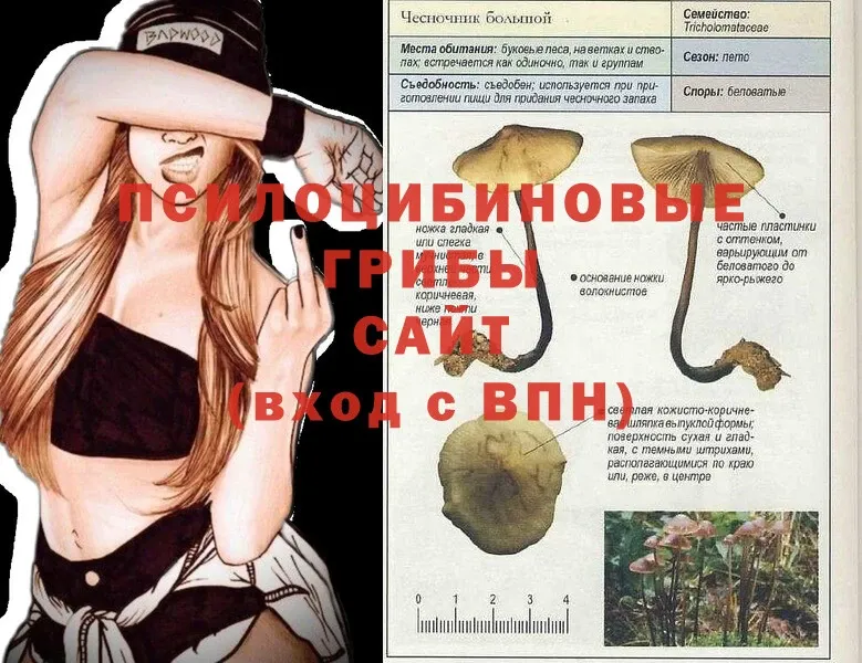 Псилоцибиновые грибы Magic Shrooms  mega ТОР  Мензелинск 